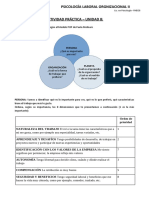 Actividad Práctica Psico Laboral Org 1