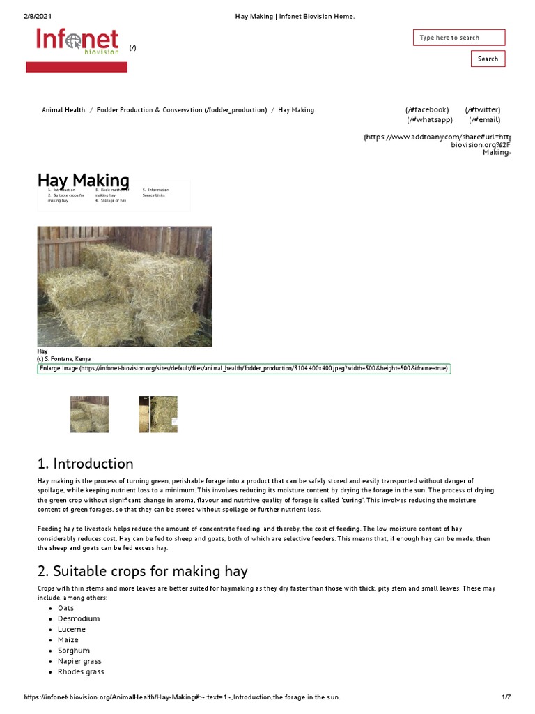 Hay Making Techniques for Livestock | PDF | Hay | Agriculture