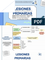 Lesiones Primarias: Universidad Nacional Autónoma de México Facultad de Estudios Superiores Iztacala