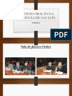 Juicio Oral y Abreviado 2021 San Luis