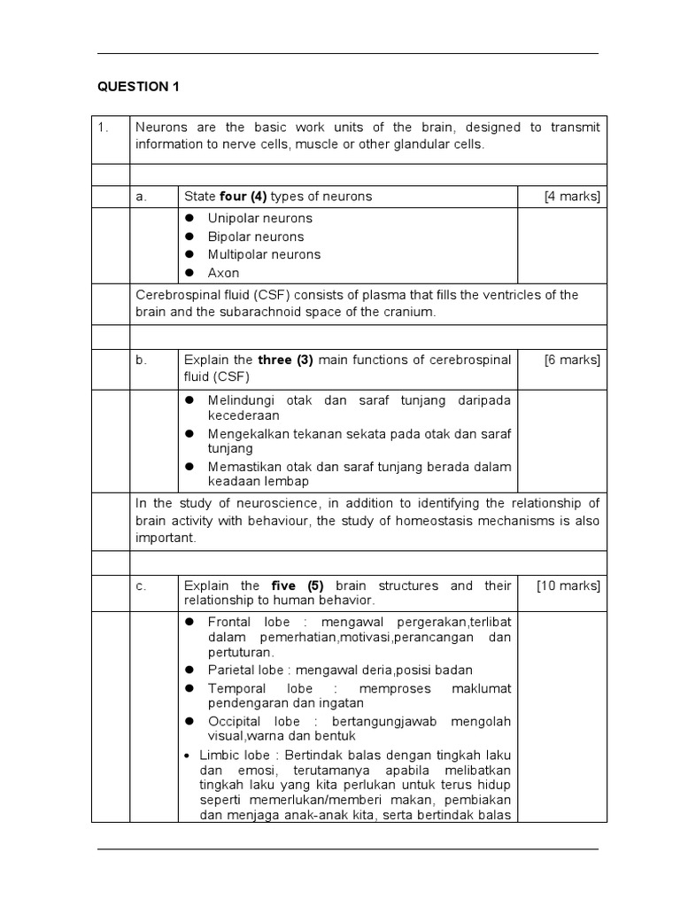 MHBS | PDF