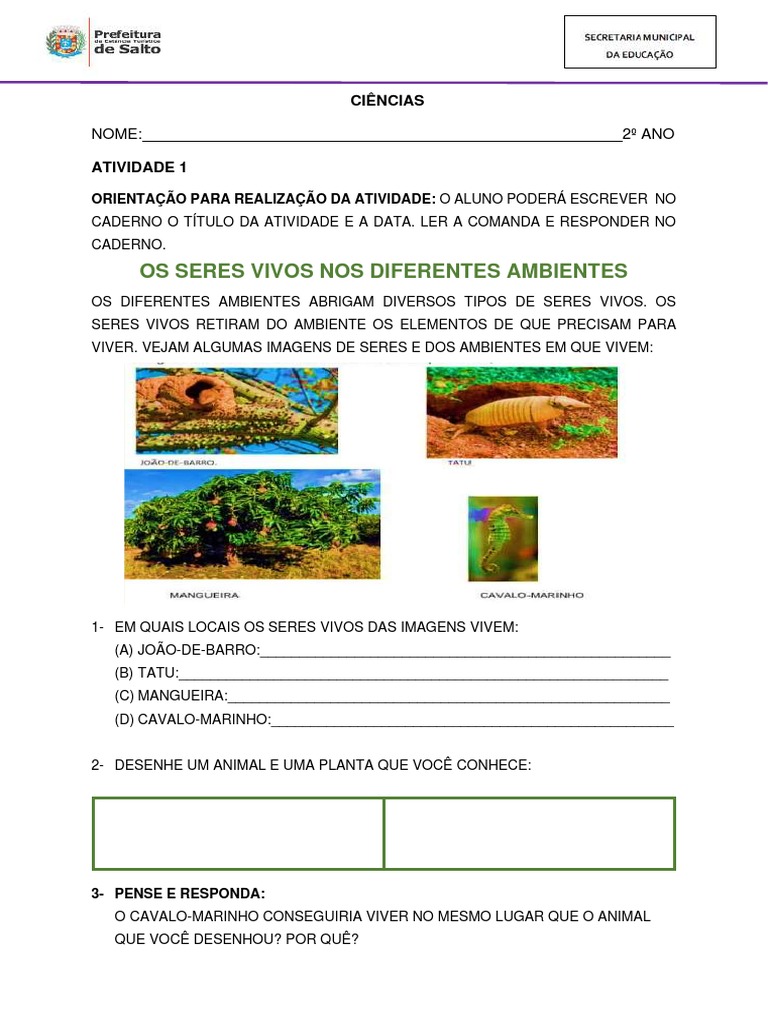 Os Seres Vivos Nos Diferentes Ambientes: Nome: 2º ANO | PDF