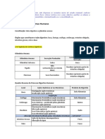 Sistema Digestivo Humano