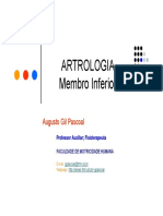 Artrologia - Memb. Inferior
