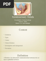 Genitourinary Fistula (VVF) 18066