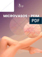 Workbook Microvasos - PEIM