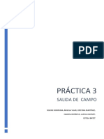 Practica 3