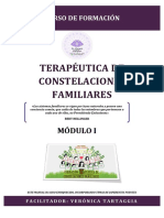 Terapéutica de Constelaciones Familiares: Módulo I