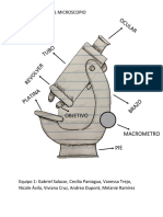 Partes Del Microscopio