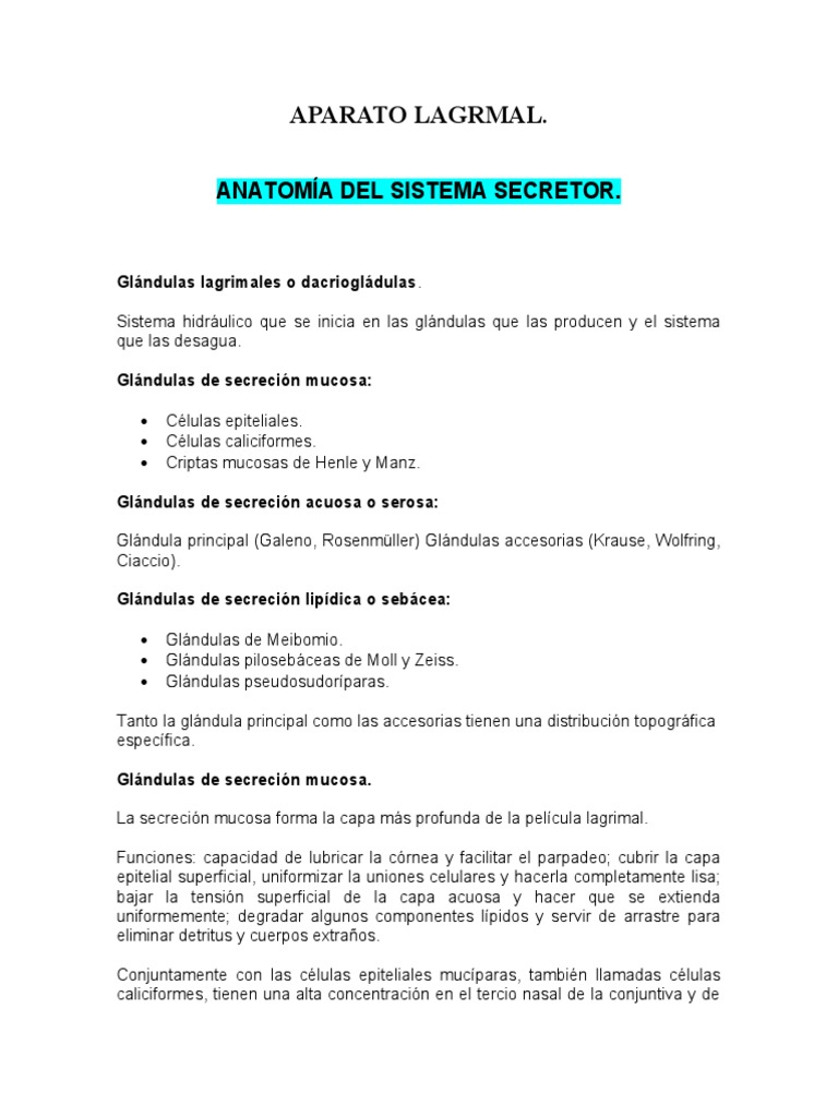 Aparato Lagrimal Secretor y Excretor | PDF | Nervio | Anatomía humana