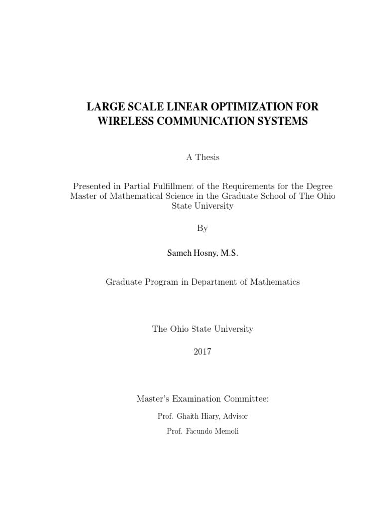 Sameh Hosny Math MSC Dissertation | PDF | Matrix (Mathematics) | Linear ...