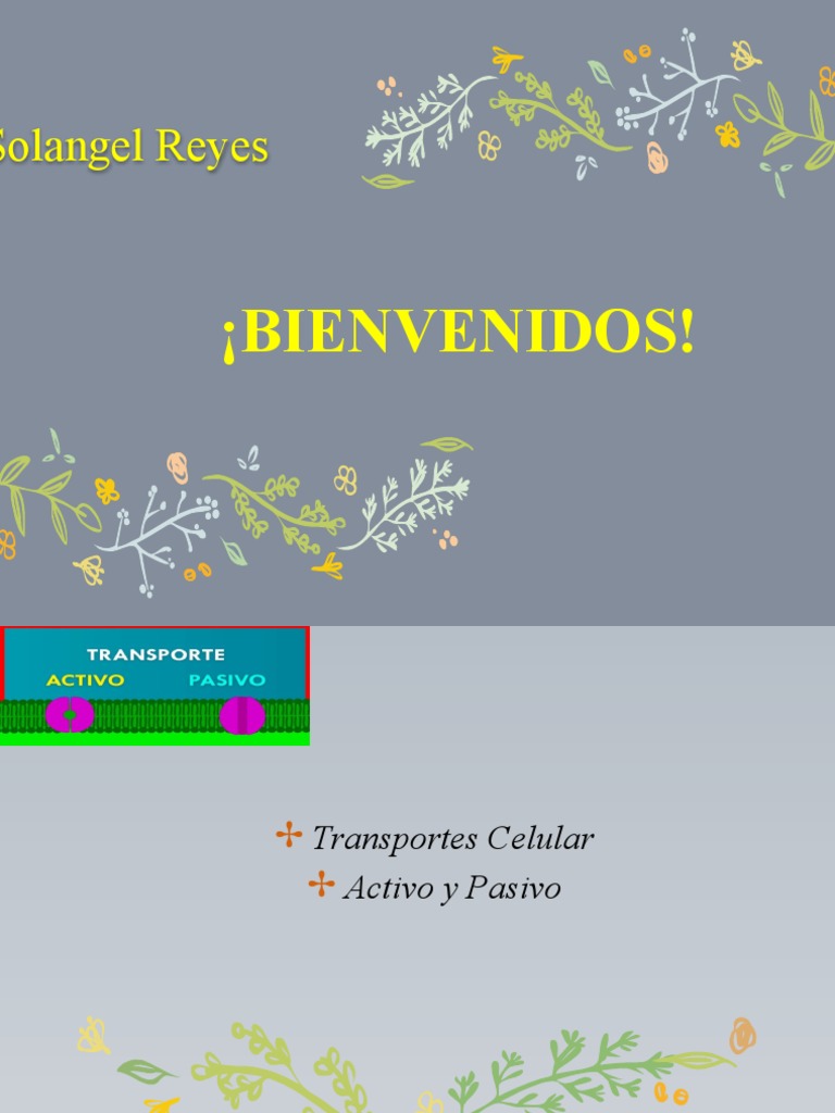 Diapositiva Biologia | PDF | Ciencia y matemáticas