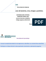 Morfología y Estructuras de Bacterias, Virus, Hongos y Parásitos