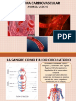 Sistema Cardiovascular Iii