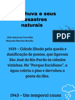 Chuva e Seus Desastres Naturais: Júlia Amoroso Carvalho Manuela Martins Barella