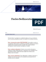 Facies Sedimentarias Total