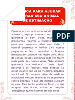 9 - para A Cura de Um Animal de Estimação - Já Esta No E-Book, É Só para Baixar Separado Caso Desejar