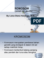 KROMOSOM