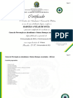 Prev. Alcoolismo e Doenças Associadas - 2022.x4 - Certificado de Conclusão Do Curso