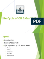 Life Cycle of Oil & Gas Wells