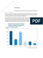 Resumen Nutricional Del Maíz - YARA MX