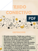 Tejido conectivo: definición, componentes, tipos y funciones