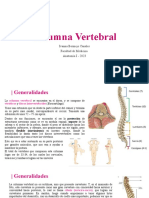 TP2 - Columna Vertebral