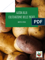 Guida Patate Orto Da Coltivare