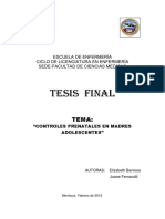 Tesis Final: Tema