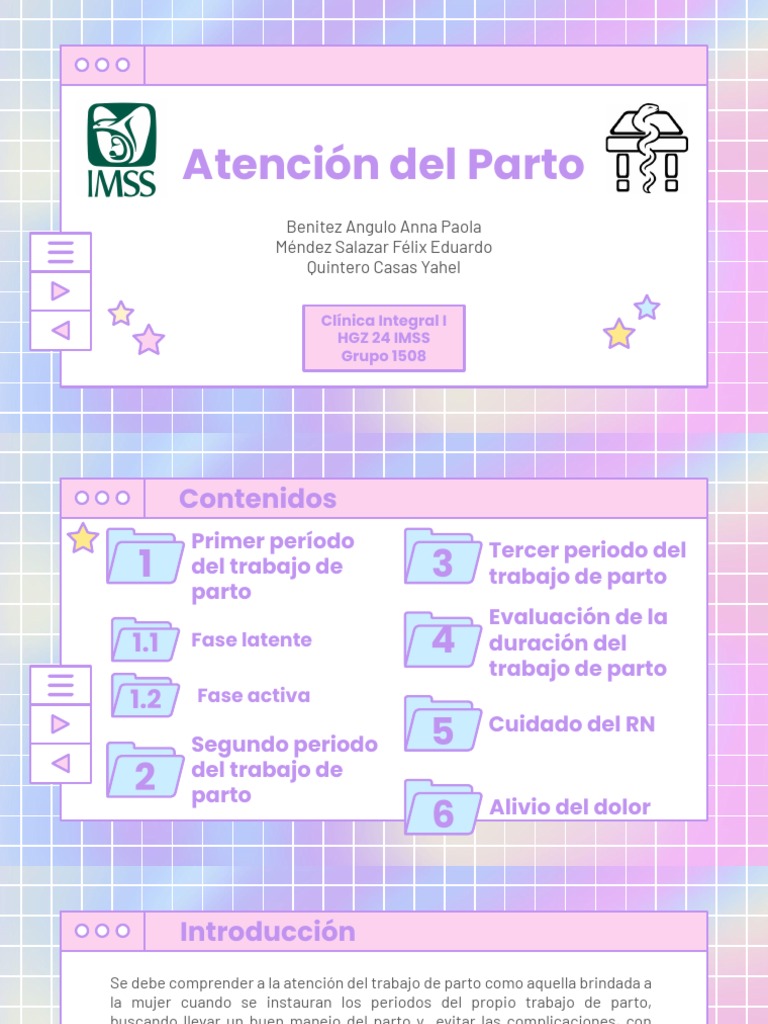 Atención del Parto: Una Guía Integral de los Periodos y Cuidados ...
