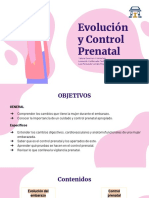 Evolución y Control Prenatal