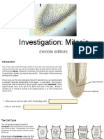 Investigation: Mitosis: (Remote Edition)