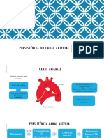 Canal PDF