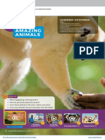 Amazing Animals: Learning Outcomes