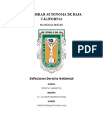 Derecho Ambiental Conceptos