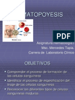 Hematopoyesis: Asignatura:Hematología I Msc. Mercedes Tapia. Carrera de Laboratorio Clínico