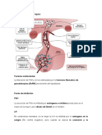 Células gonadotropas y regulación hormonal