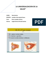 Pares craneales motores y sus funciones