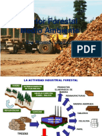Sector Forestal Medio Ambiente 2022