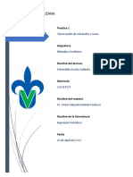 Reporte PracticaObservacionesRocasMinerales