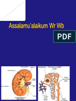 Adekuasi Dialisis Revisi