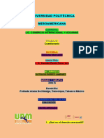 Universidad Politécnica Mesoamericana: Lic. Comercio Interncional Y Aduanas