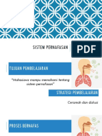 Sistem Pernafasan