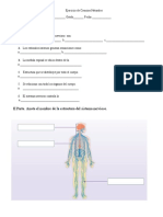 Ejercicio de Sistema Nervioso