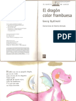 Dragon Color Frambuesa - 1