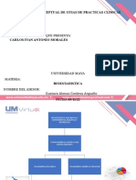 Título de Trabajo: Mapa Conceptual de Guias de Practicas Clinicas