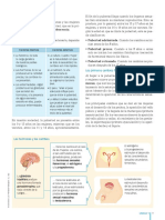 Cambios en El Adolescente