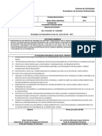 Formato de Informe de Actividades de Prestadores de Servicios 2