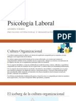 Psicología Laboral: Andrés Torres Psicologo Ocupacional Y Organizacional