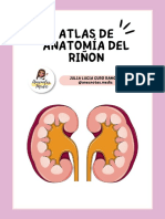Atlas Del Riñón-Anecnotes - Medic